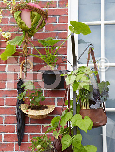 Accessoire garden with vegetable, fruits and flowers